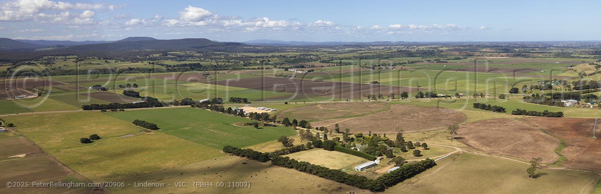 Peter Bellingham Photography Lindenow - VIC (PBH4 00 11003)